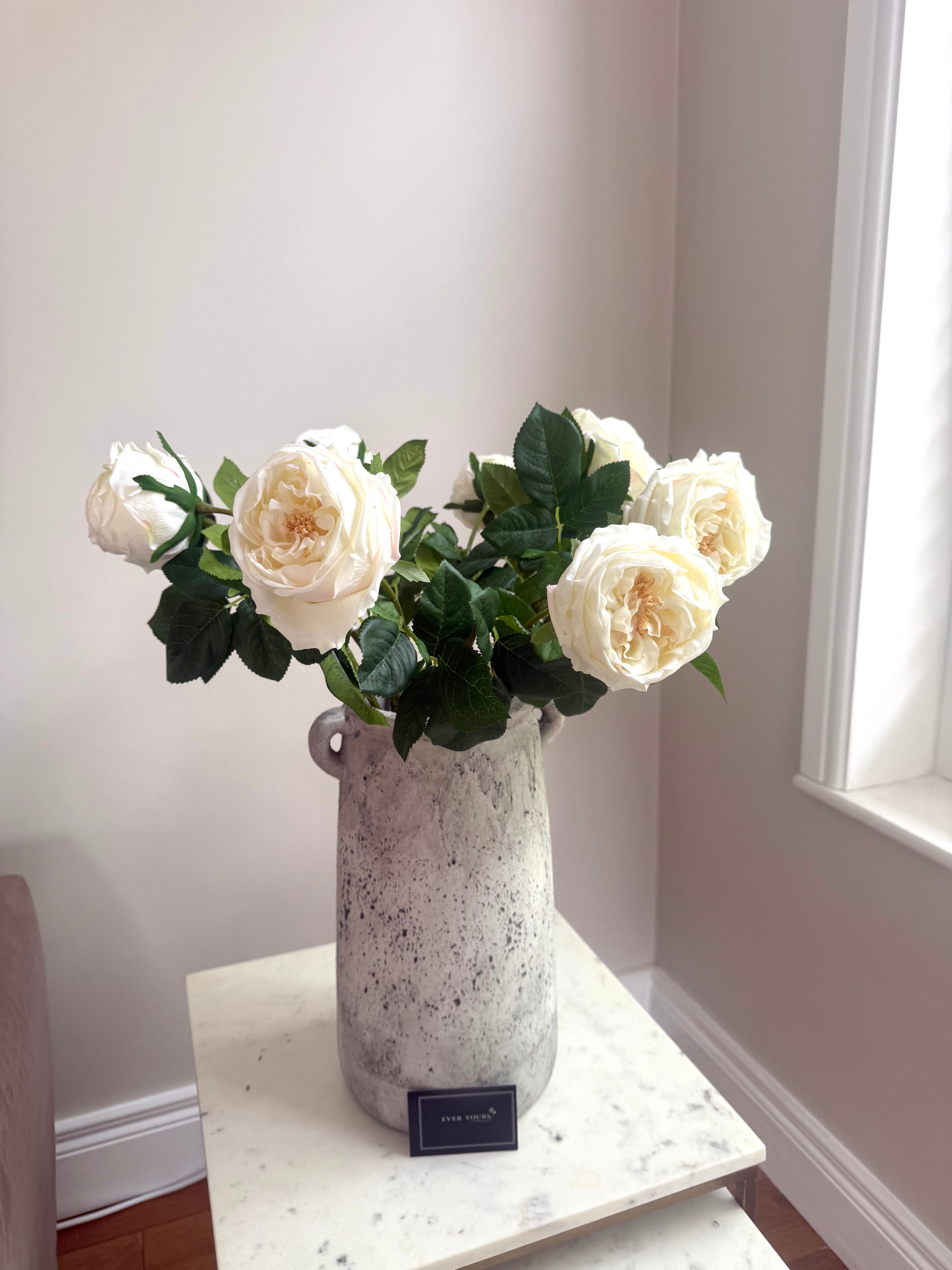 LETTER 7 - Ever Rose